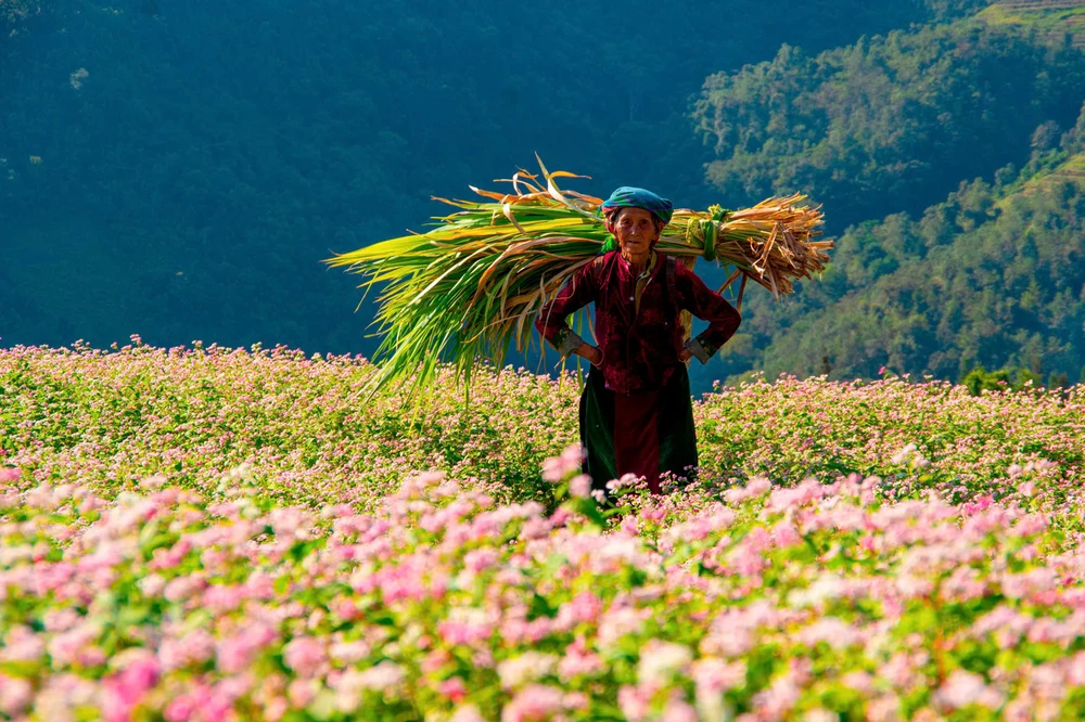 Thung Lũng Sủng Là